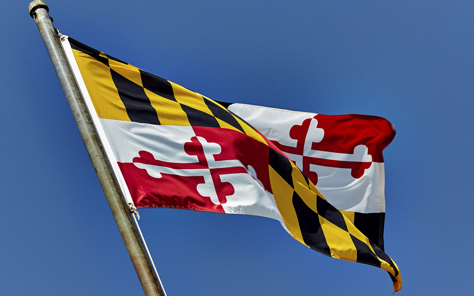 Maryland flag on flagpole